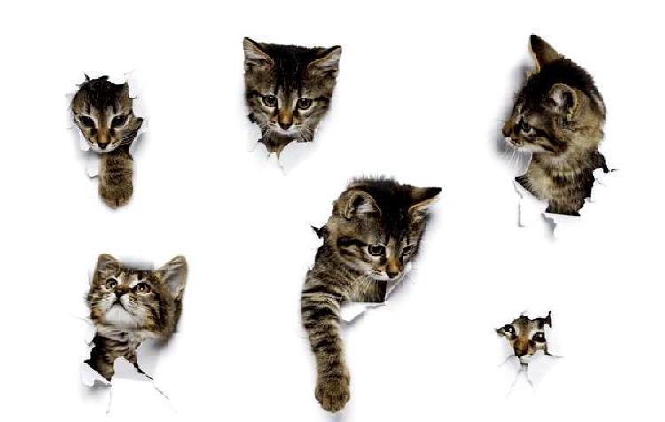 Борьба с кошачьими паразитами: Полное руководство для заводчика кошек